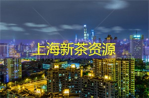 上海娱乐网：崭新视野：在上海发现未来